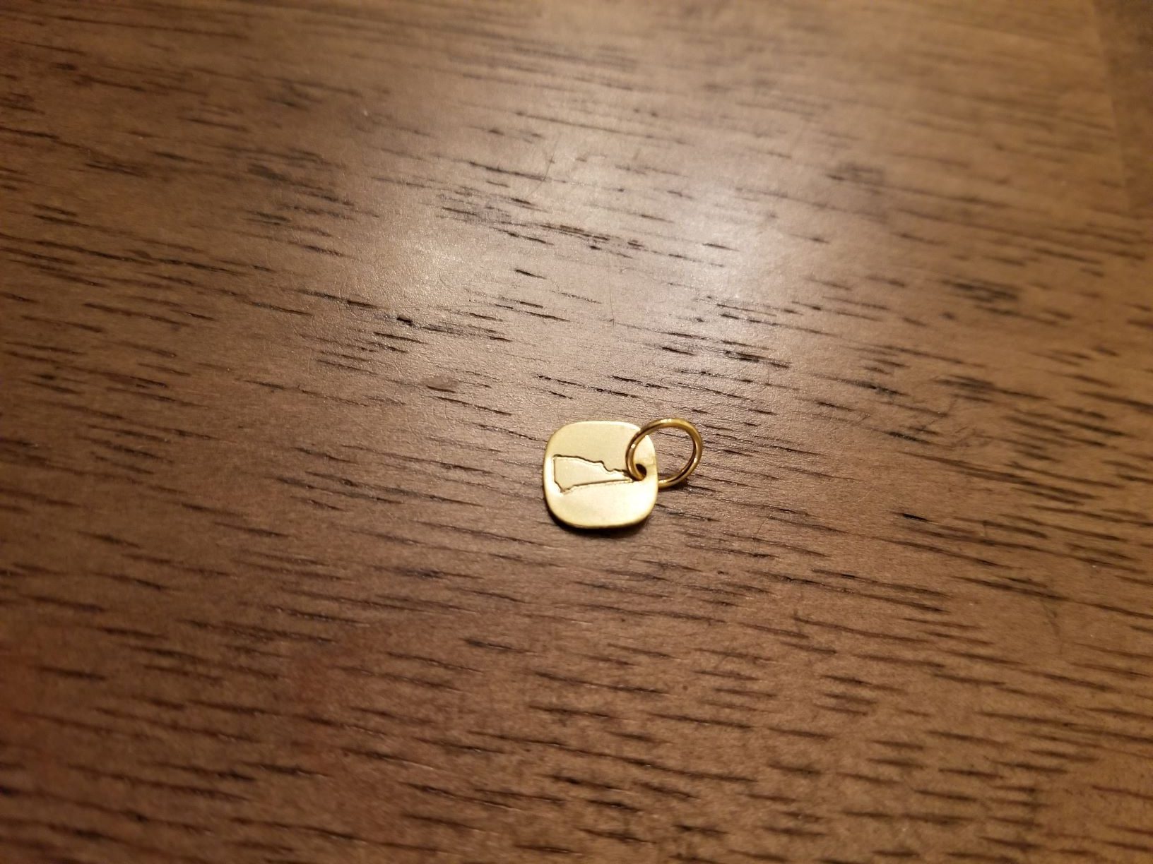 20210328_131503.jpg resized p375