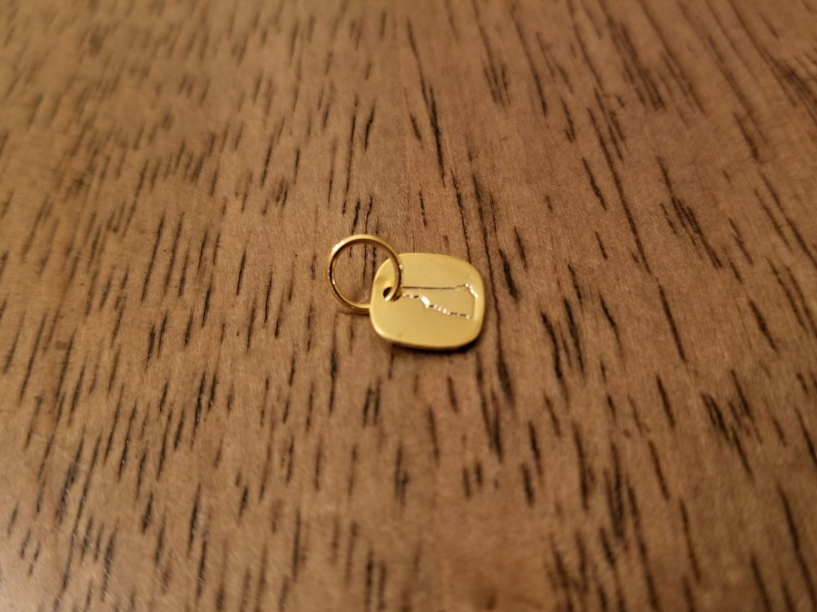 20210328_131709.jpg resized p375 nice