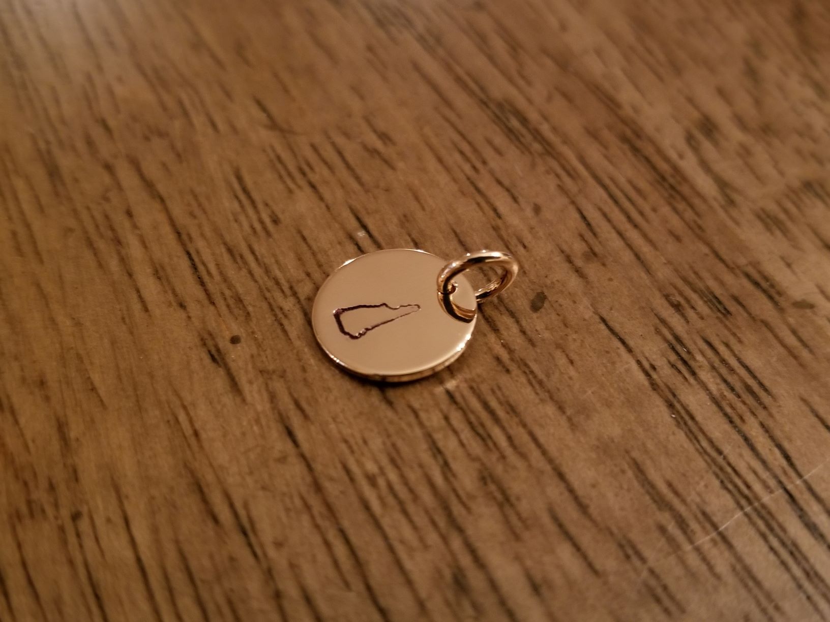 20210328_152854.jpg resized p373