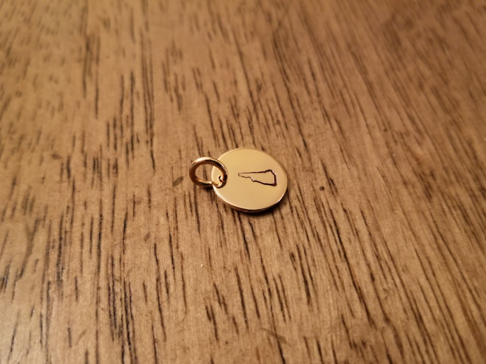 20210328_153106.jpg resized p373